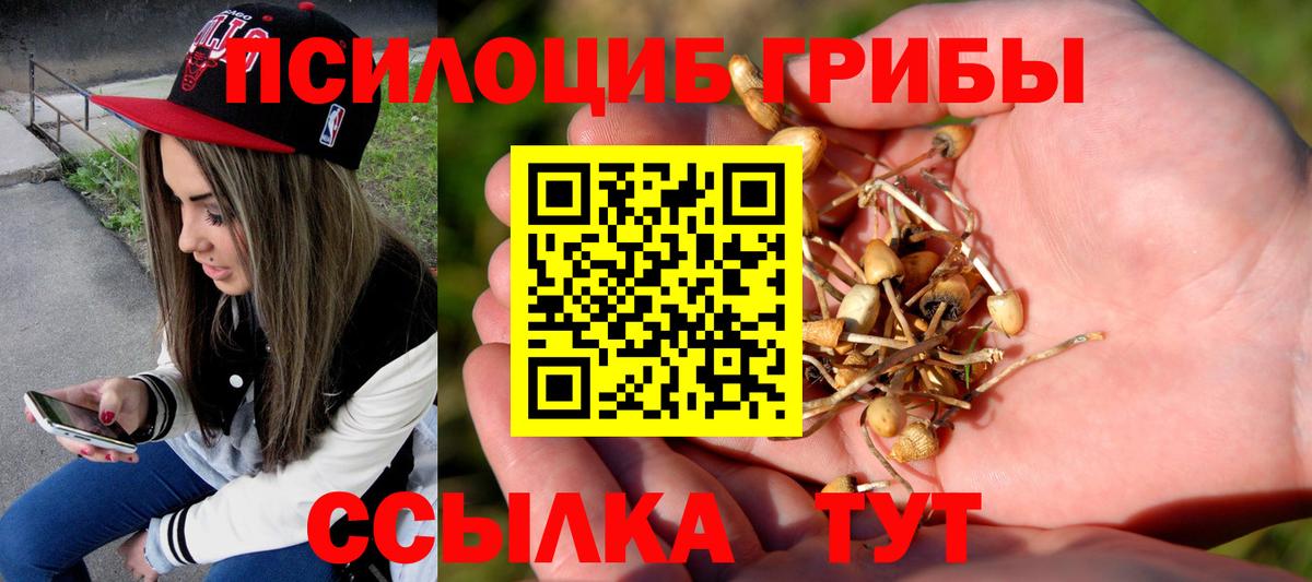 Псилоцибиновые грибы Magic Shrooms Саранск